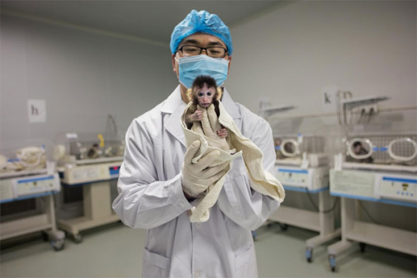 16 phát hiện khoa học vĩ đại nhất trong 10 năm qua (phần 1) 19