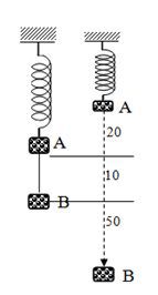 Bài toán con lắc lò xo chịu tác dụng của ngoại lực, biến cố va chạm 13