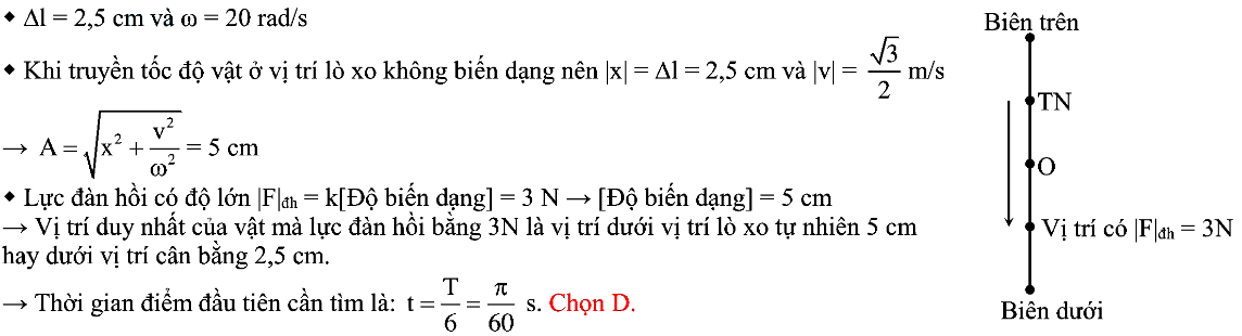 Bài toán lực đàn hồi, lực kéo về của con lắc lò xo 65