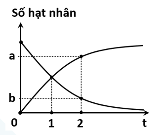 Đề thi thử vật lí 01 - Ôn thi QG 2024