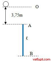 Bài tập chuyển động rơi tự do: bài toán thả rơi 29