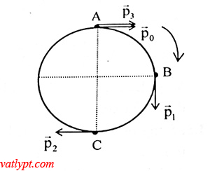 Bài tập động lượng, biến thiên động lượng, bảo toàn động lượng 3