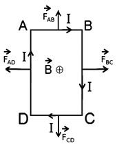 Bài tập lực từ tác dụng lên khung dây, đoạn dây điện, vật lí 11 27