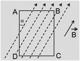 Bài tập lực từ tác dụng lên khung dây, đoạn dây điện, vật lí 11 33