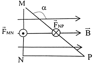 Bài tập lực từ tác dụng lên đoạn dây điện vật lí 11 22