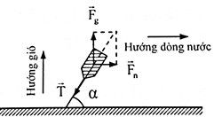 Bài tập phân tích lực, tính độ lớn của lực, vật lí 10 95