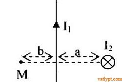 Bài tập cảm ứng từ tổng hợp của dòng điện thẳng, vật lí 11 39