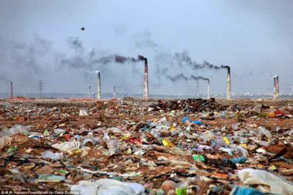 Bản tuyên ngôn về thế giới khoa học hậu duy vật 5