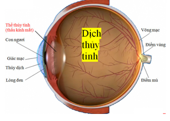 Các tật của mắt và cách khắc phục, vật lí phổ thông 9