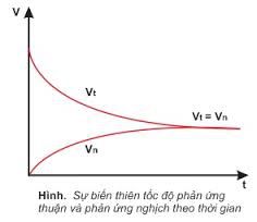 Cân tự chất hóa học là hiện trạng của hệ phản xạ thuận nghịch ngợm nhưng mà vận tốc phản xạ thuận tự vận tốc phản xạ nghịch