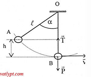 Bài tập Bảo toàn cơ năng con lắc đơn, vật lí 10 9