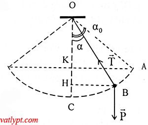 Bài tập Bảo toàn cơ năng con lắc đơn, vật lí 10 11