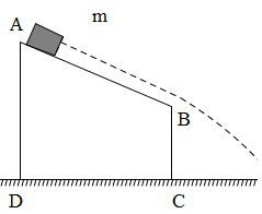 Công thức tính cơ năng, bảo toàn cơ năng vật lí lớp 10 25