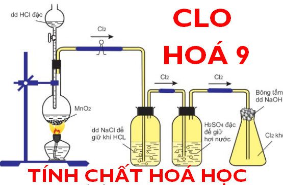 Khí Clo - tính chất hóa học của clo, hóa học phổ thông 19