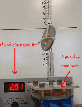 Dao động tắt dần, dao động cưỡng bức, cộng hưởng cơ