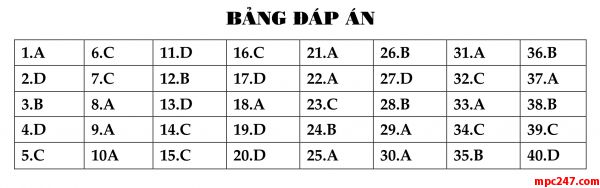 Đề 019: thi thử môn vật lí THPTQG (đáp án + giải chi tiết) 17