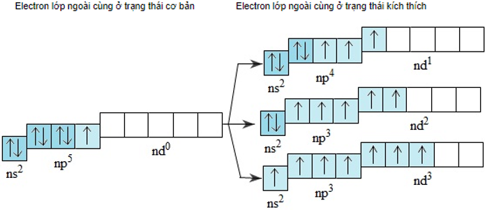 Đơn chất Halogen và tính chất, hóa học phổ thông 15