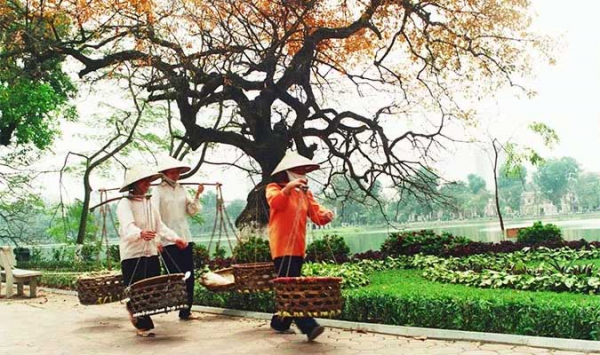 Đòn gánh tre của Việt Nam khiến nhà khoa học bất ngờ. 7