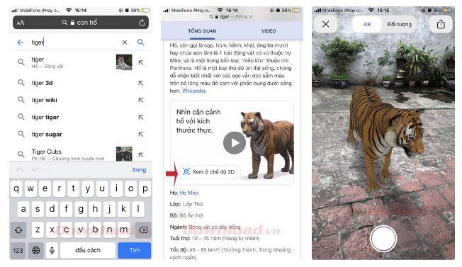 Cách xem hình 3D con vật sư tử, mèo, chó, ngựa, cá mập... trên Google