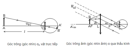 Kính Lúp, Số bội giác của kính lúp 7