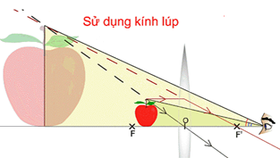Kính Lúp, Số bội giác của kính lúp 9