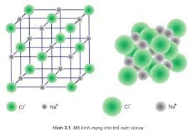 Phân tử muối ăn (NaCl) có chứa liên kết ion