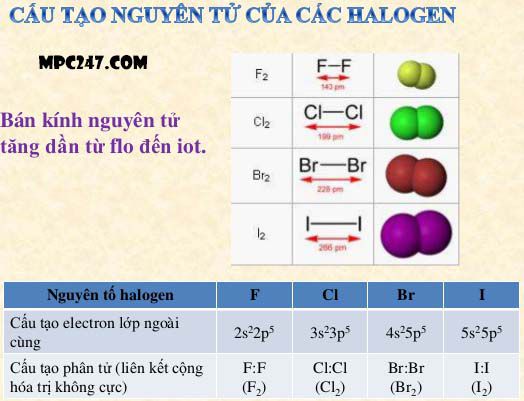 Đơn chất Halogen và tính chất, hóa học phổ thông 11