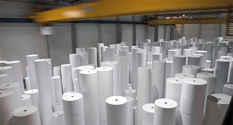 Một cái cây có thể sản xuất được bao nhiêu giấy? 2