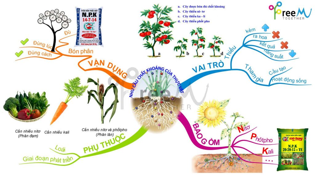 Vai trò của phân bón hóa học