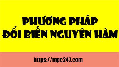 phương pháp đổi biến nguyên hàm 5