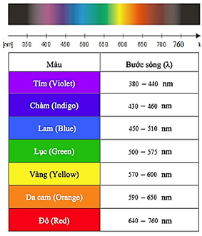 Sóng ánh sáng là gì? Khám phá bản chất kỳ diệu của ánh sáng trong vật lí phổ thông