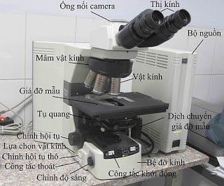 Kính hiển vi quang học, cấu tạo, nguyên tắc hoạt động