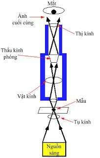 Kính hiển vi quang học, cấu tạo, nguyên tắc hoạt động