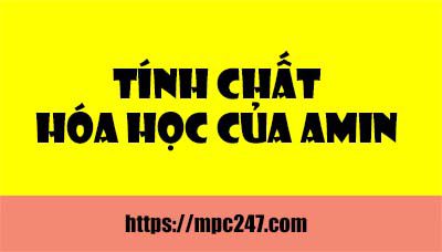 Tính chất hóa học của Amin, hóa học phổ thông 7