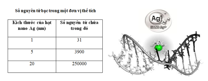Tính chất vật lí của Bạc, hóa học phổ thông 11