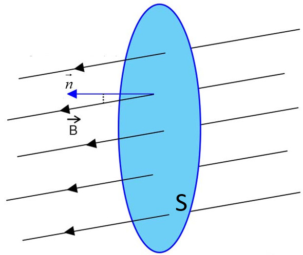 Hình ảnh về từ trường đều đi xuyên qua một vòng dây kín có diện tích là S, n là véc tơ pháp tuyến của vòng dây