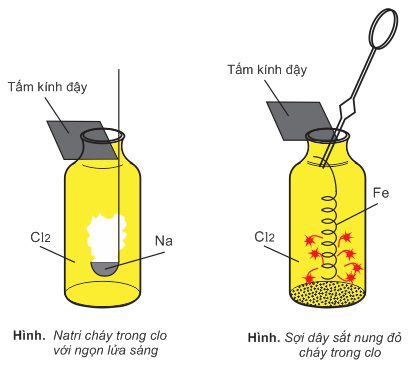 Khí Clo - tính chất hóa học của clo, hóa học phổ thông 15