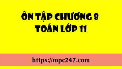 Ôn tập chương 8 toán lớp 11 13