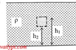 Bài tập nguyên lý Pa-xcan, áp suất thủy tĩnh, lực đẩy Ác-si-mét, vật lí phổ thông